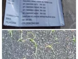 Diduga Pengaspalan Dikampung Desa Cimayang Terkesan Asal Jadi