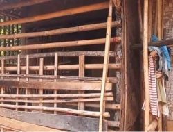 Wanita ODGJ di Tenjo Dipasung, Bupati Bogor Minta Warga Laporkan Hal Serupa