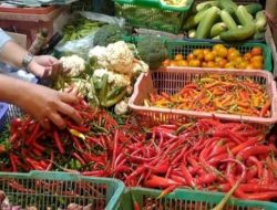 Harga Sembako Jawa Timur 21 Oktober 2025, Harga Cabai Naik Turun Semua.? 
