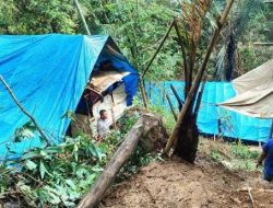 ‘Mencuri di Tanah Sendiri’ Viral di Sukabumi, Begini Duduk Perkaranya