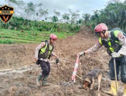 Unit K9 Polda Jateng Berhasil Deteksi Tiga Titik Jejak Korban di Lokasi Bencana Pandanarum