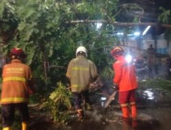 Hujan angin di kota Tanggerang hingga Senin dini hari: pohon tumbang di jalan Tekuk Umar Akses ke mutiara peluit tidak bisa di lewati