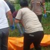 Kasus Mayat Pria di Kebun Jagung Bogor, Polisi Ungkap Sambaran Petir di TKP