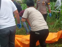 Kasus Mayat Pria di Kebun Jagung Bogor, Polisi Ungkap Sambaran Petir di TKP