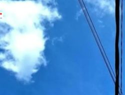 Prakiraan cuaca Kabupaten Wonosobo hari ini, Jumat 12 Juni 2026 melansir laman BMKG.