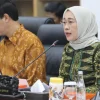 Ketua Komisi VI DPR Dorong Pemerintah Regulasi OTT: Ini Masalah Merah Putih!