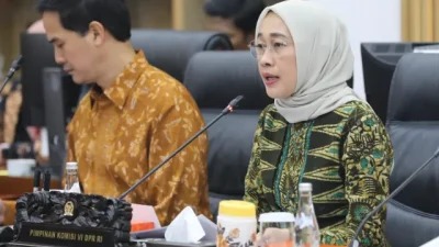 Ketua Komisi VI DPR Dorong Pemerintah Regulasi OTT: Ini Masalah Merah Putih!